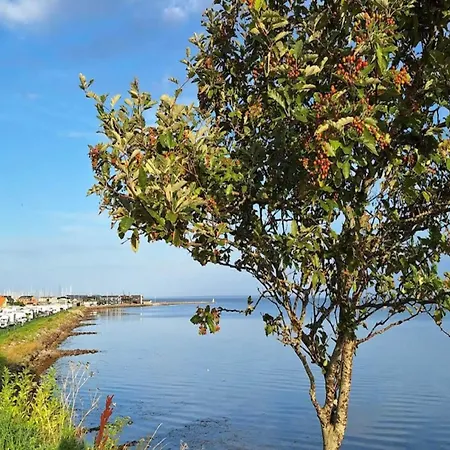 Prázdninový dům Tranquil Retreat-by Traum *