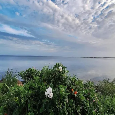 Ferienhaus Tranquil Retreat-by Traum Bogense