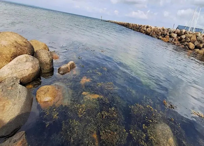 度假居 Tranquil Retreat-by Traum *