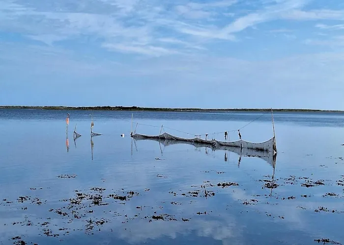 度假居 Tranquil Retreat-by Traum *