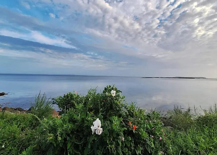 Tranquil Retreat-by Traum * Bogense